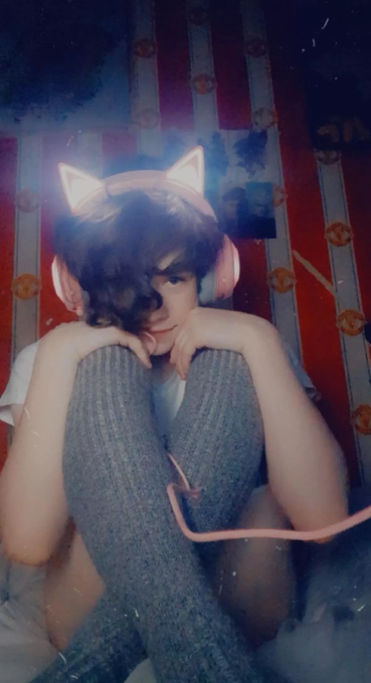 Bright light Kitty night