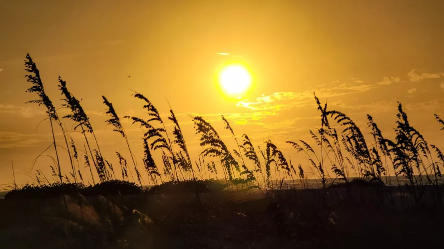 Clearwater Beach Florida