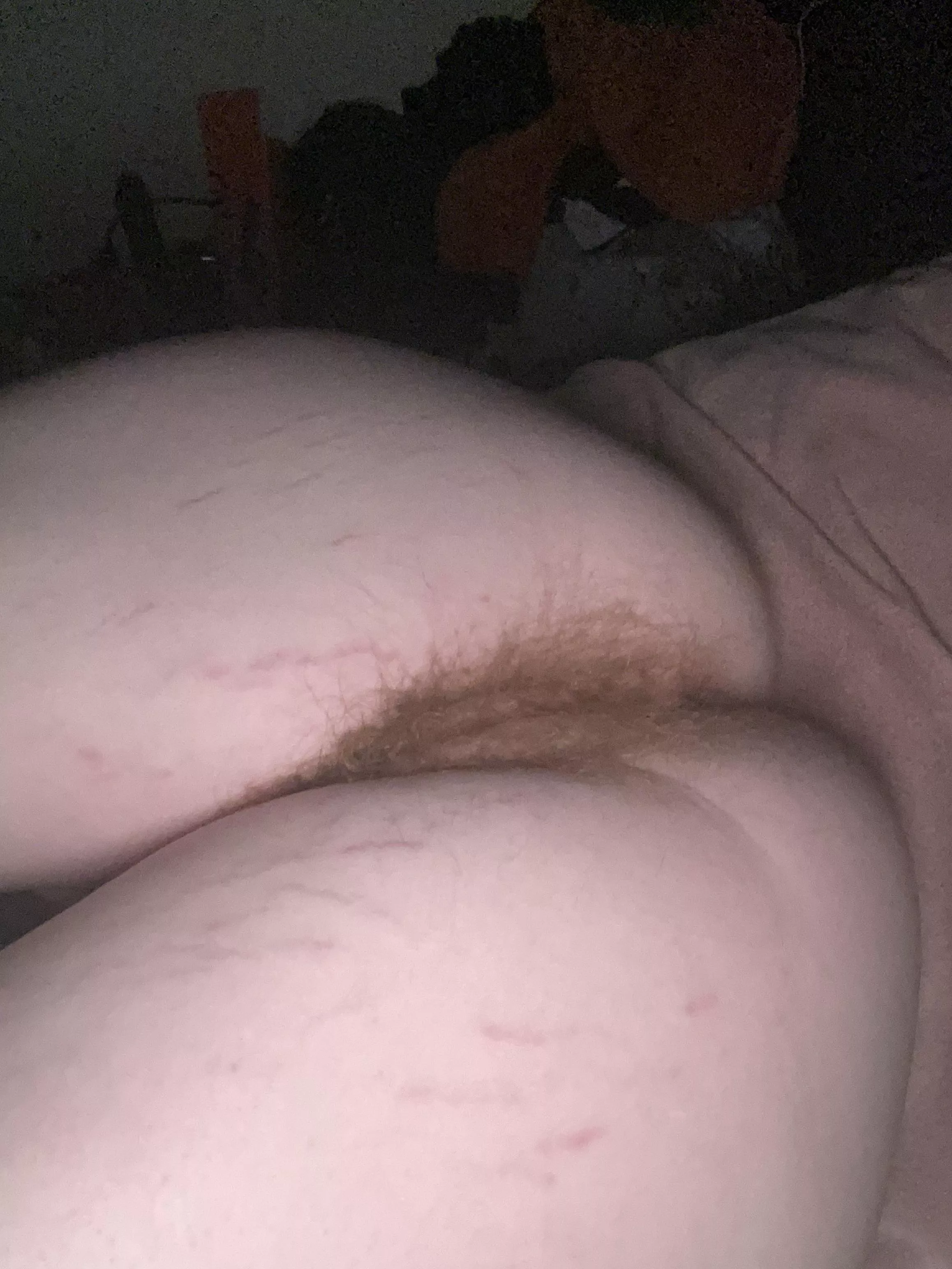 come kiss my hairy lips?