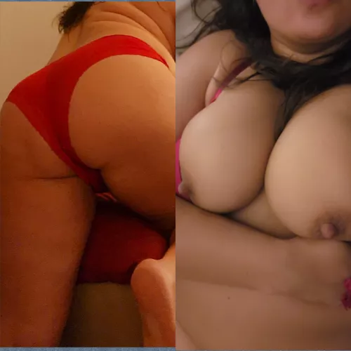 Do you prefer ass or boobs for hump day