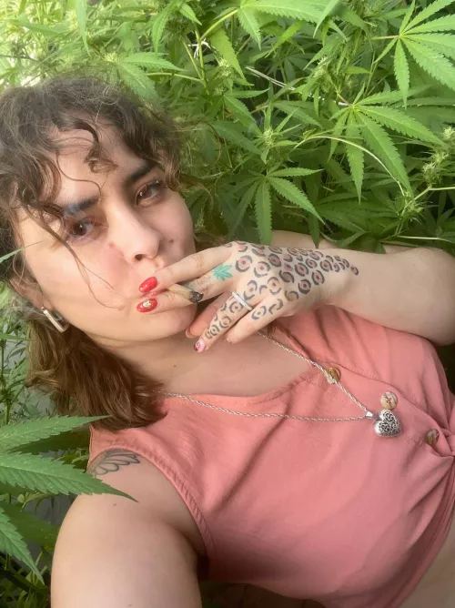 DO YOU WANT A LITTLE BIT OF THIS?