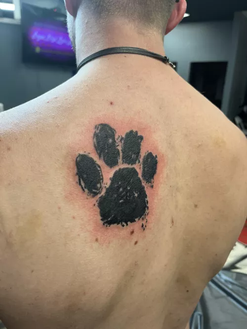 Finally got my pup tattoo! Which good boy wants to come set it?