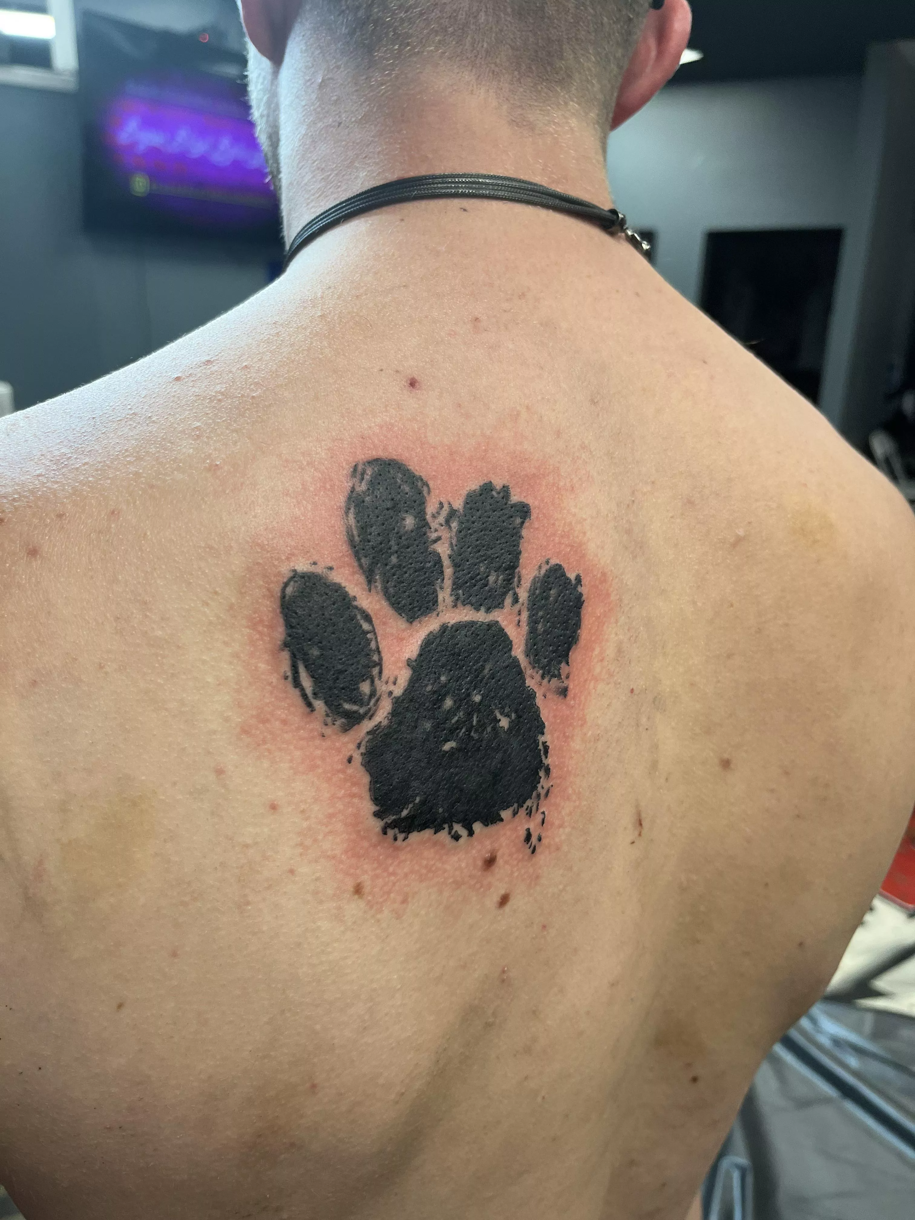 Finally got my pup tattoo! Which good boy wants to come set it?