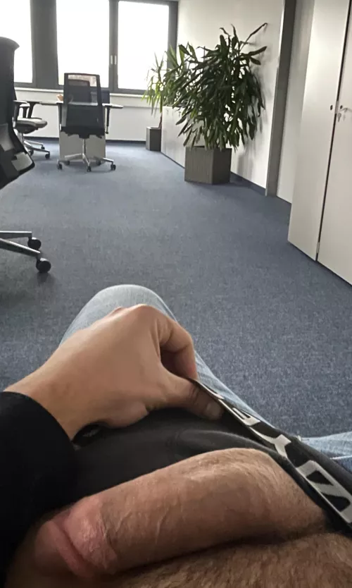 I miss the home office days…