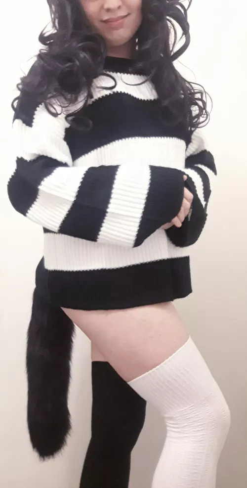 ⬛⬜ Kitty wants to play! ⬜⬛