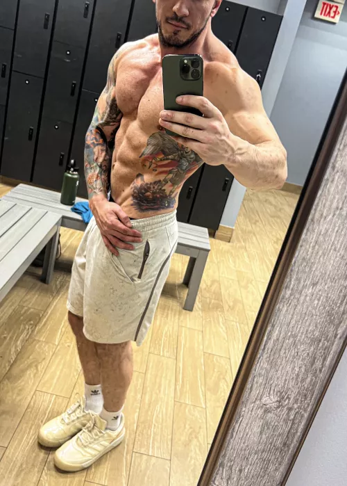 (M) looking for a gym partner any takers?