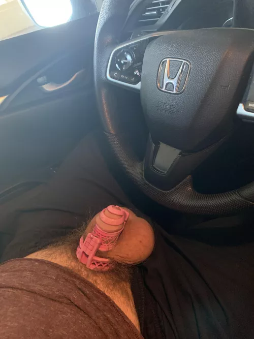 Made a poll to add time and I’m already up at 66 days with plenty of time for more people to add! Better get used to being locked up!