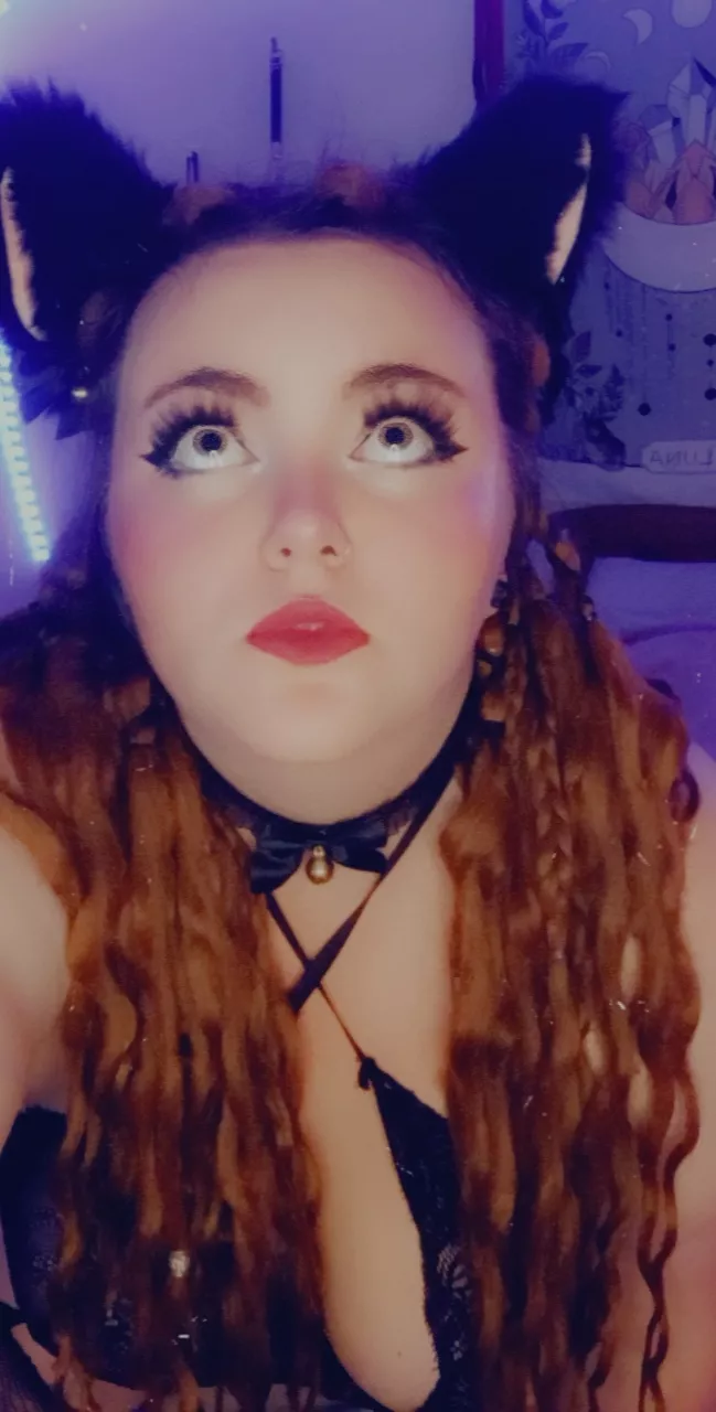 Mmmm I'm ready for my milk 🐱💦🤍