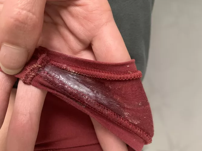 Panties ✨glistening ✨ for you