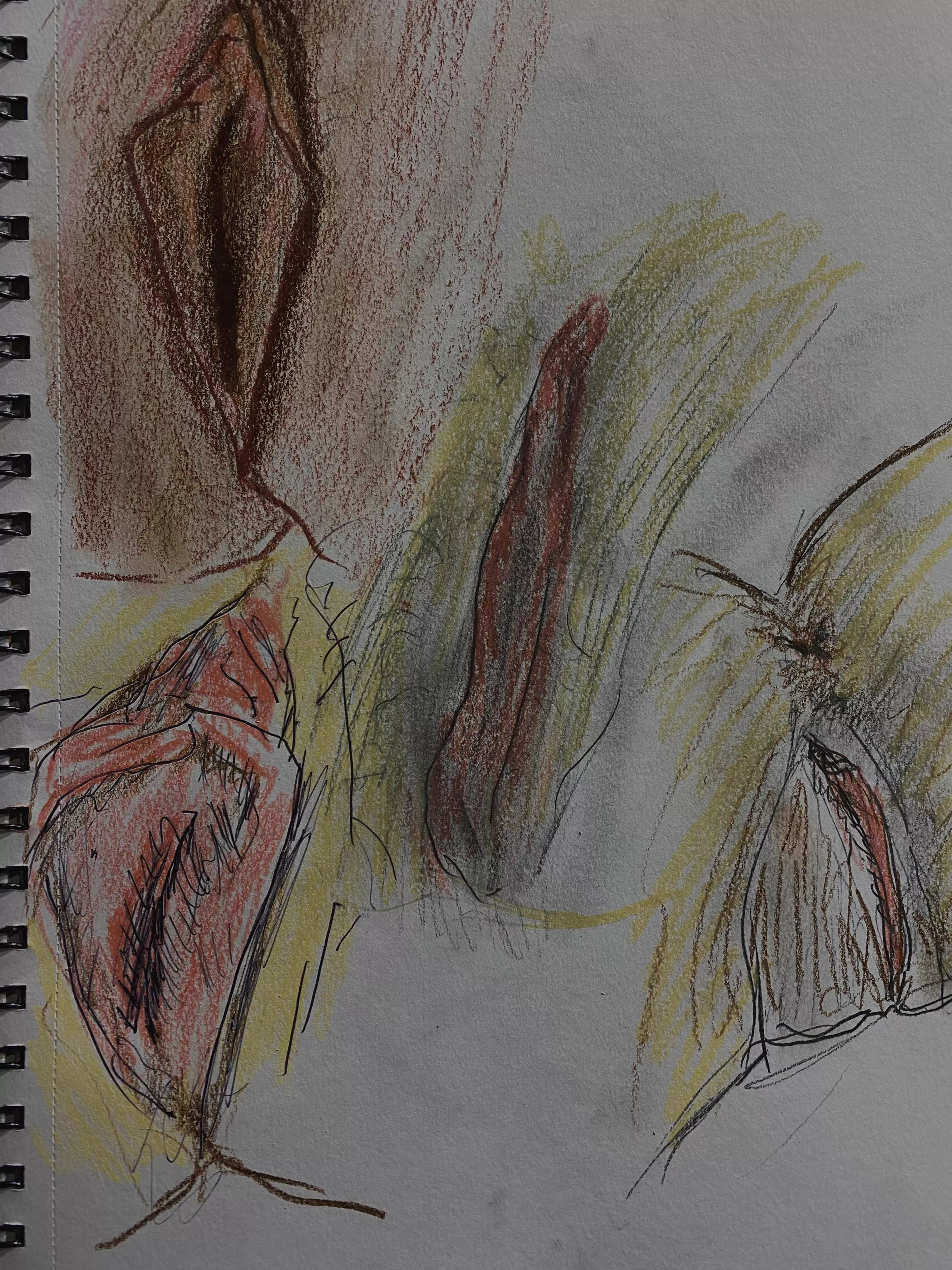 Studies of Vulvae, pencil on A4 paper — DM if you want to be drawn