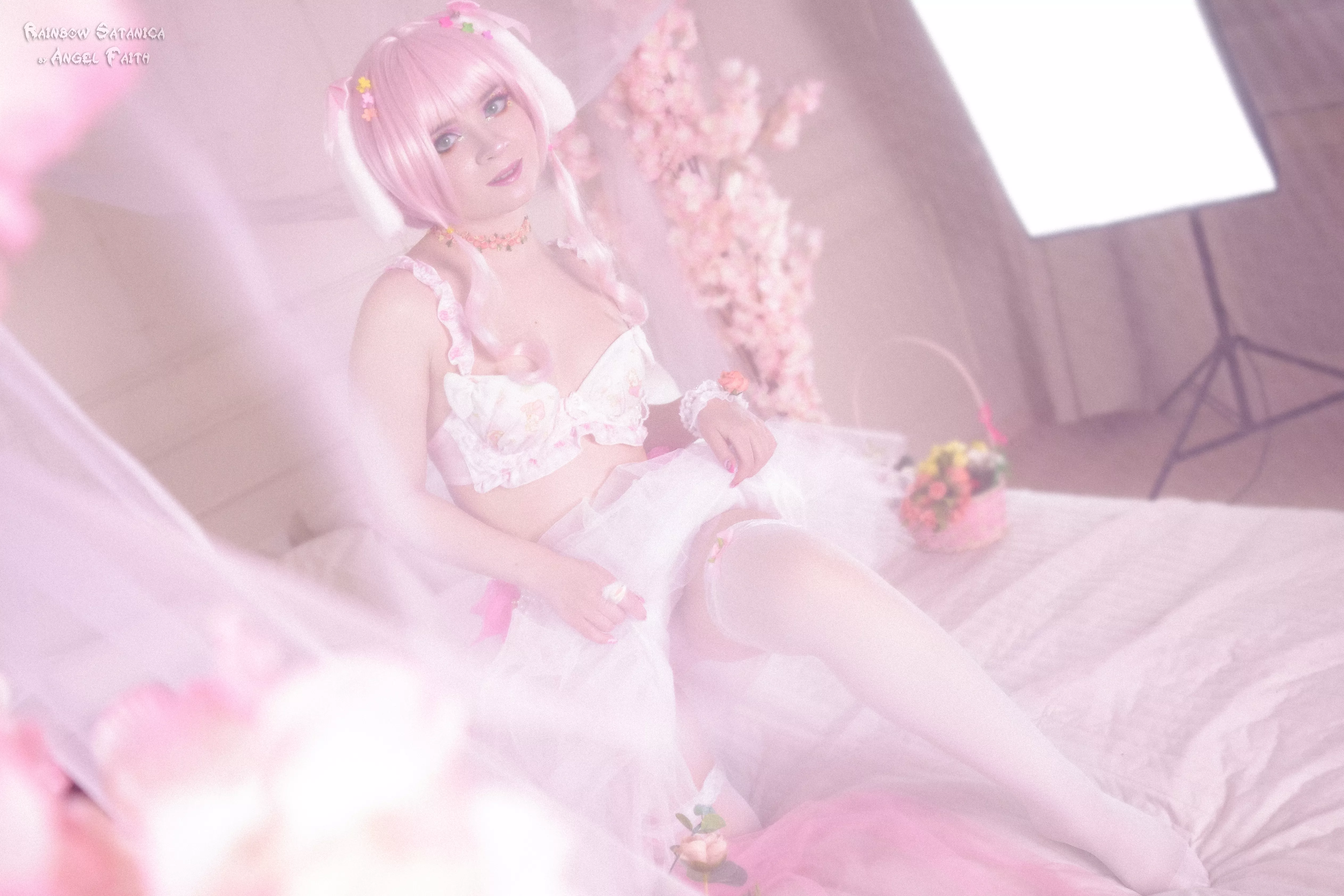 Sunny morning of your dreams