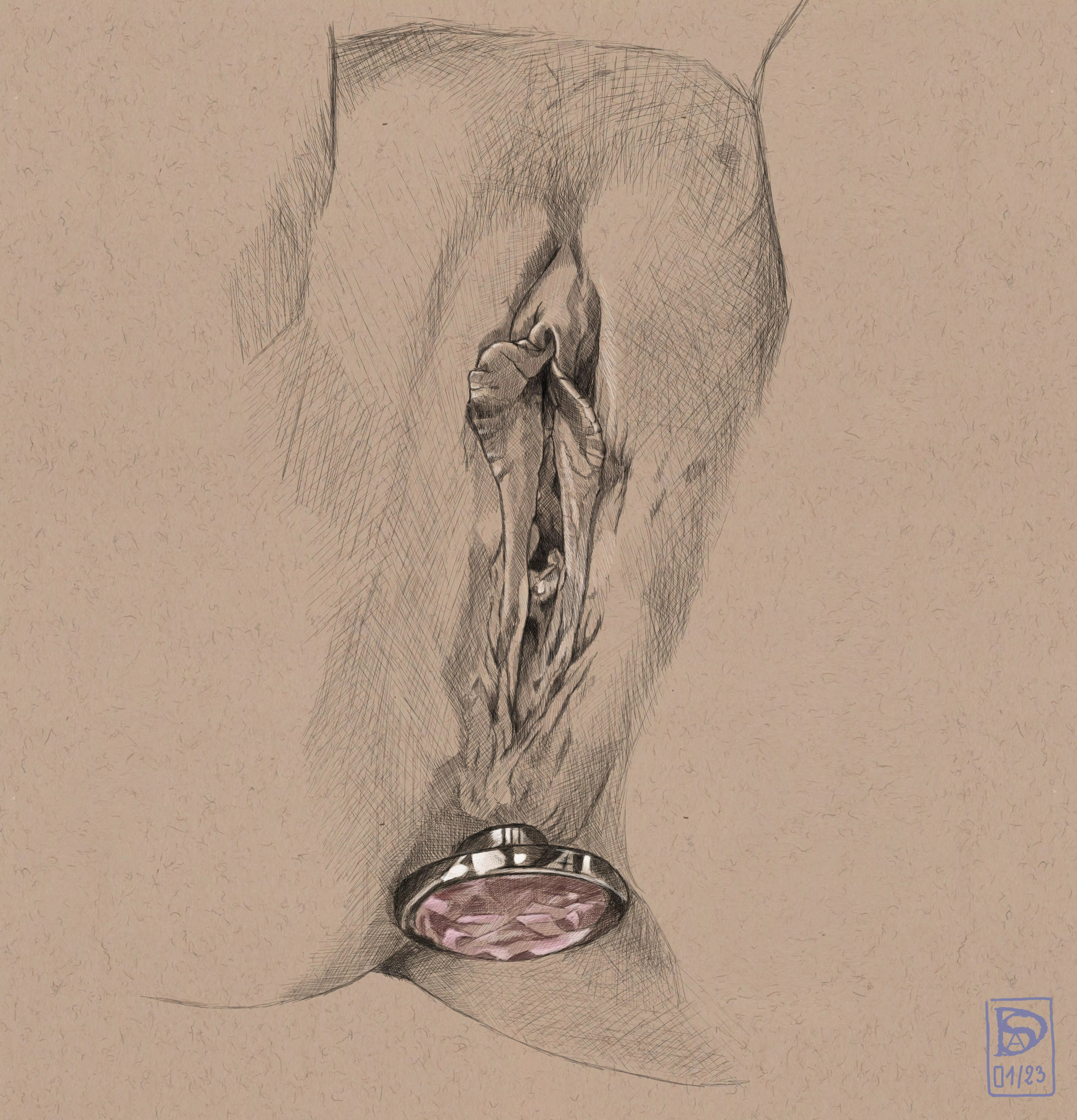 Vulve 28 drawn by me