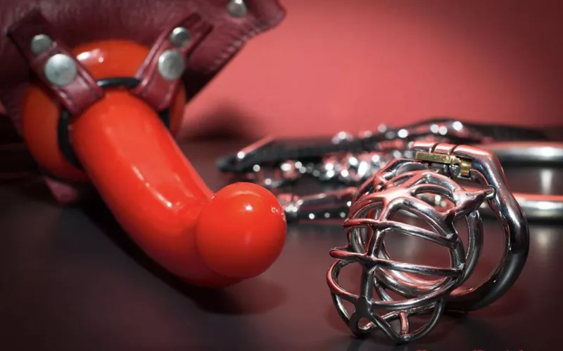 What do you think of my new dick for slave boy?