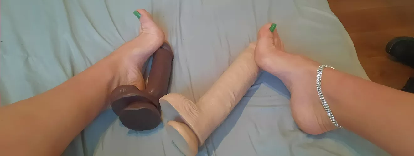 Which should I choose