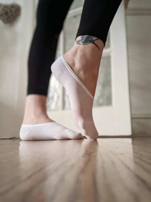 Who wants to come smell them😜