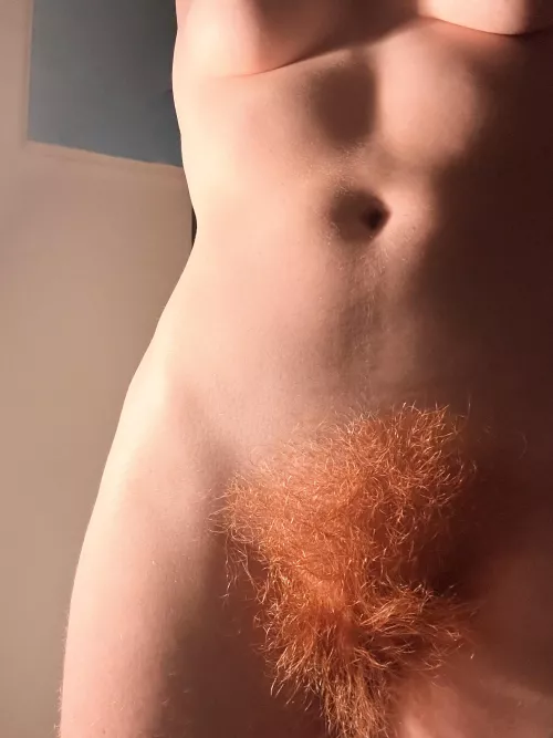 Would you consider this full?