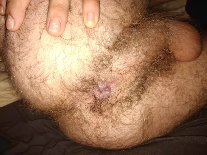 28 m Who wants to eat my hairy ass?
