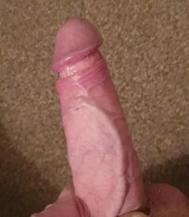 [45] cum suck my veiney cock dry