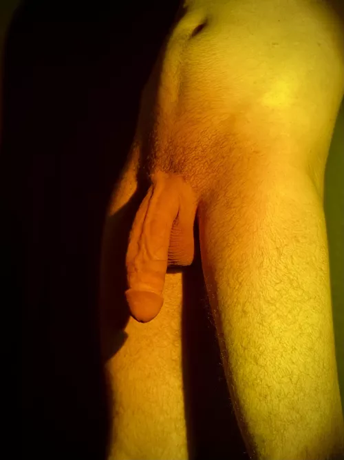 Artsy cock