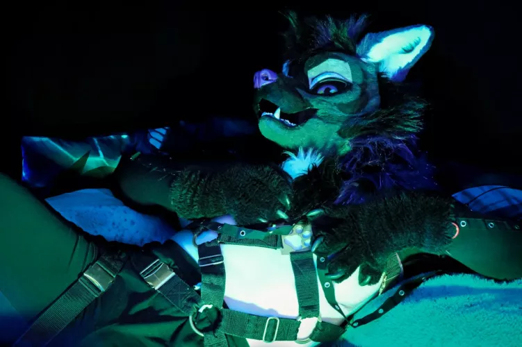 Don't make me laugh. You? On top?