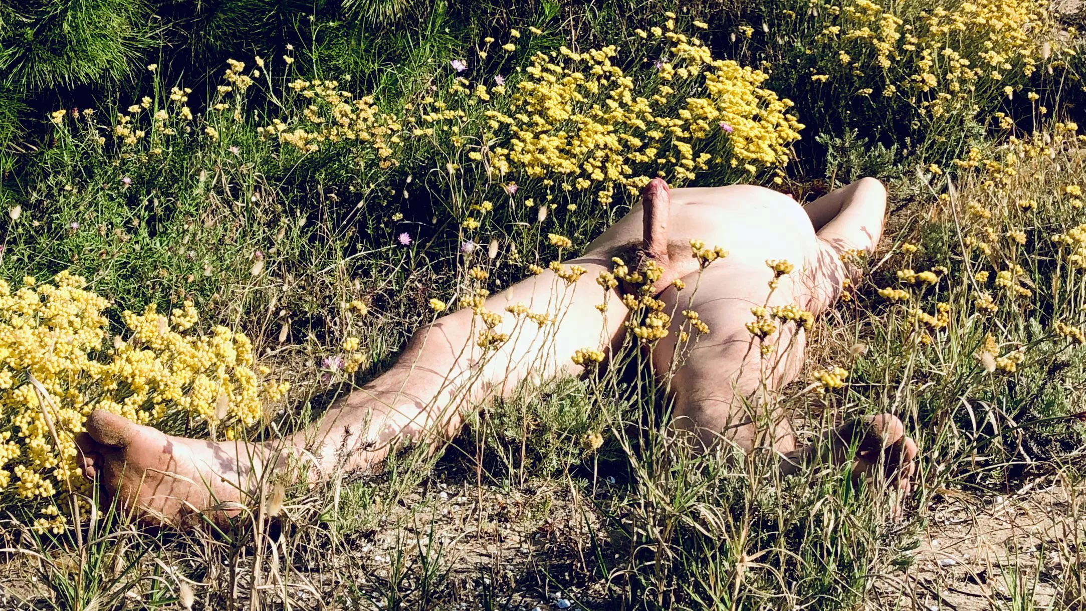 Fragrant flowers….