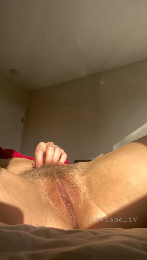 golden hour hitting the bush just right🥰🥰