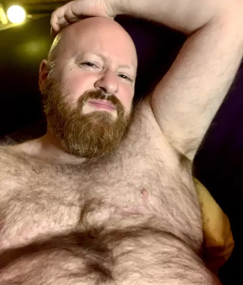 Good morning you filthy animals