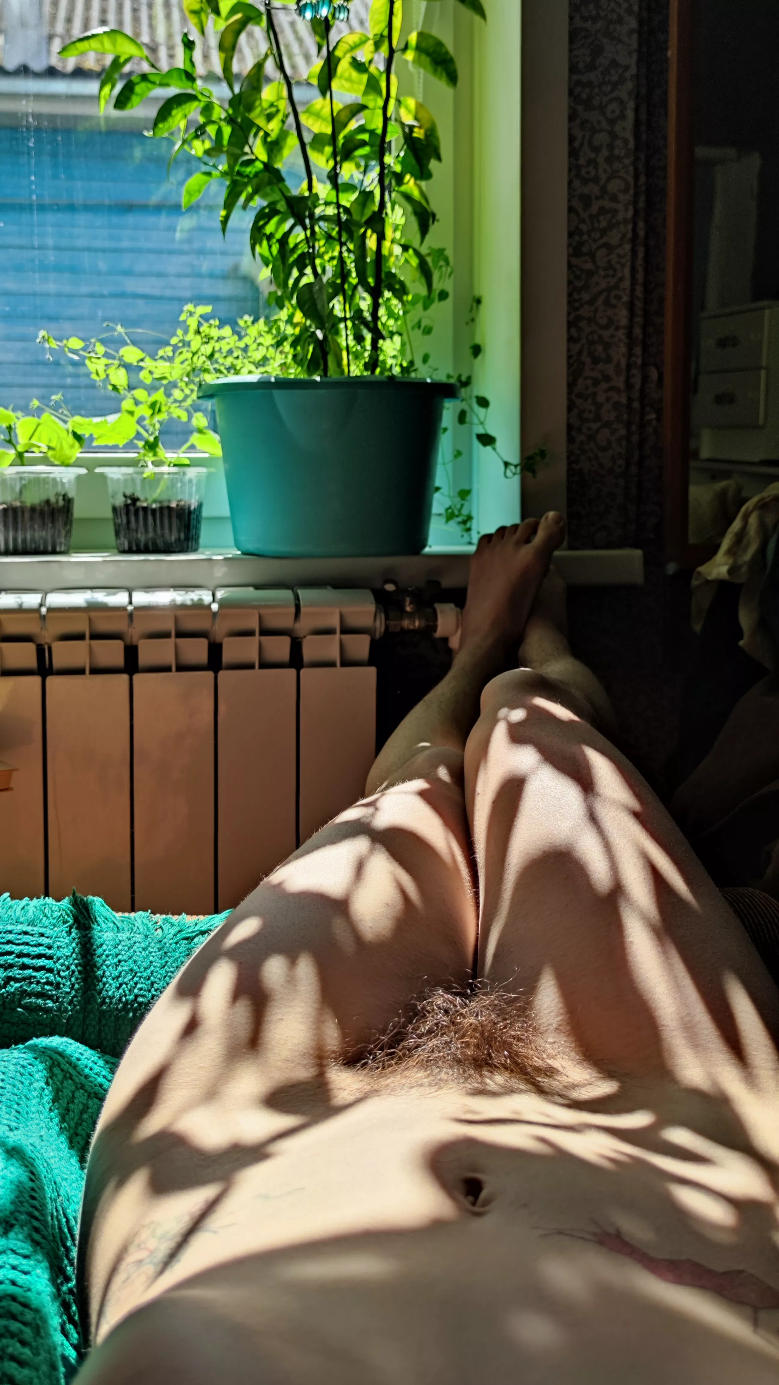 hairy pussy and sunny day, what can be better?