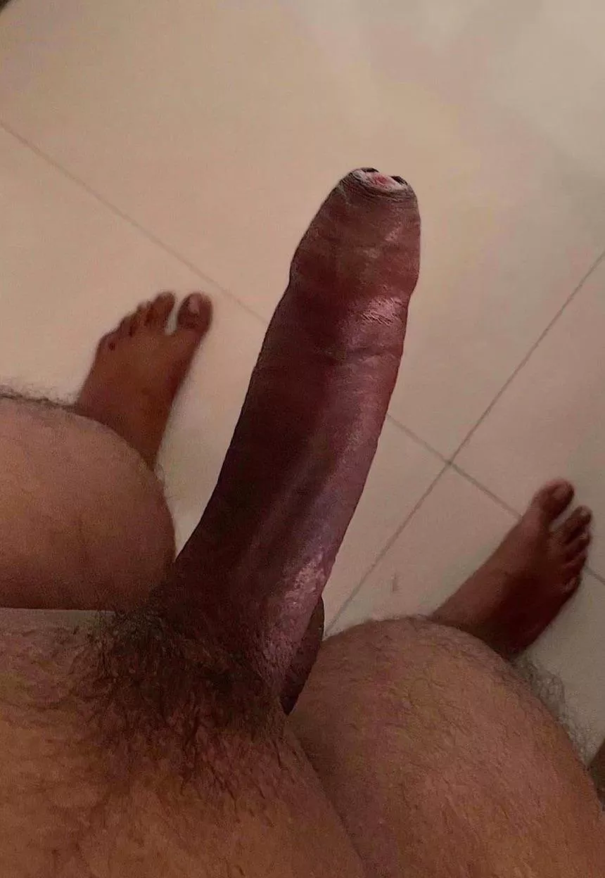 How’s my lil brown one?