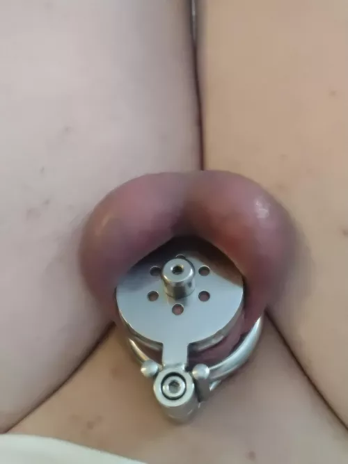 i fitted my flat cage with a large sound plug. please make fun of it.