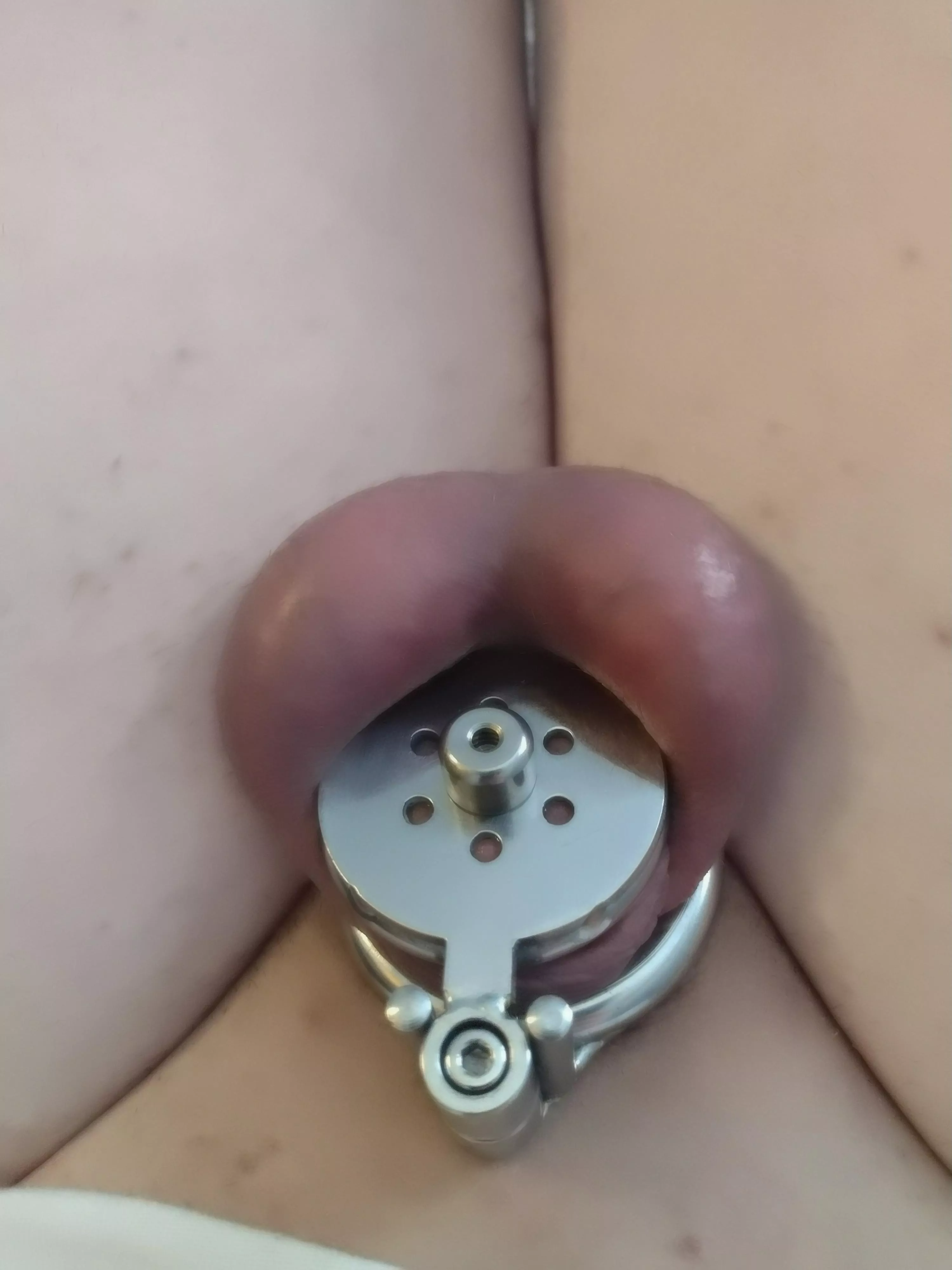 i fitted my flat cage with a large sound plug. please make fun of it.