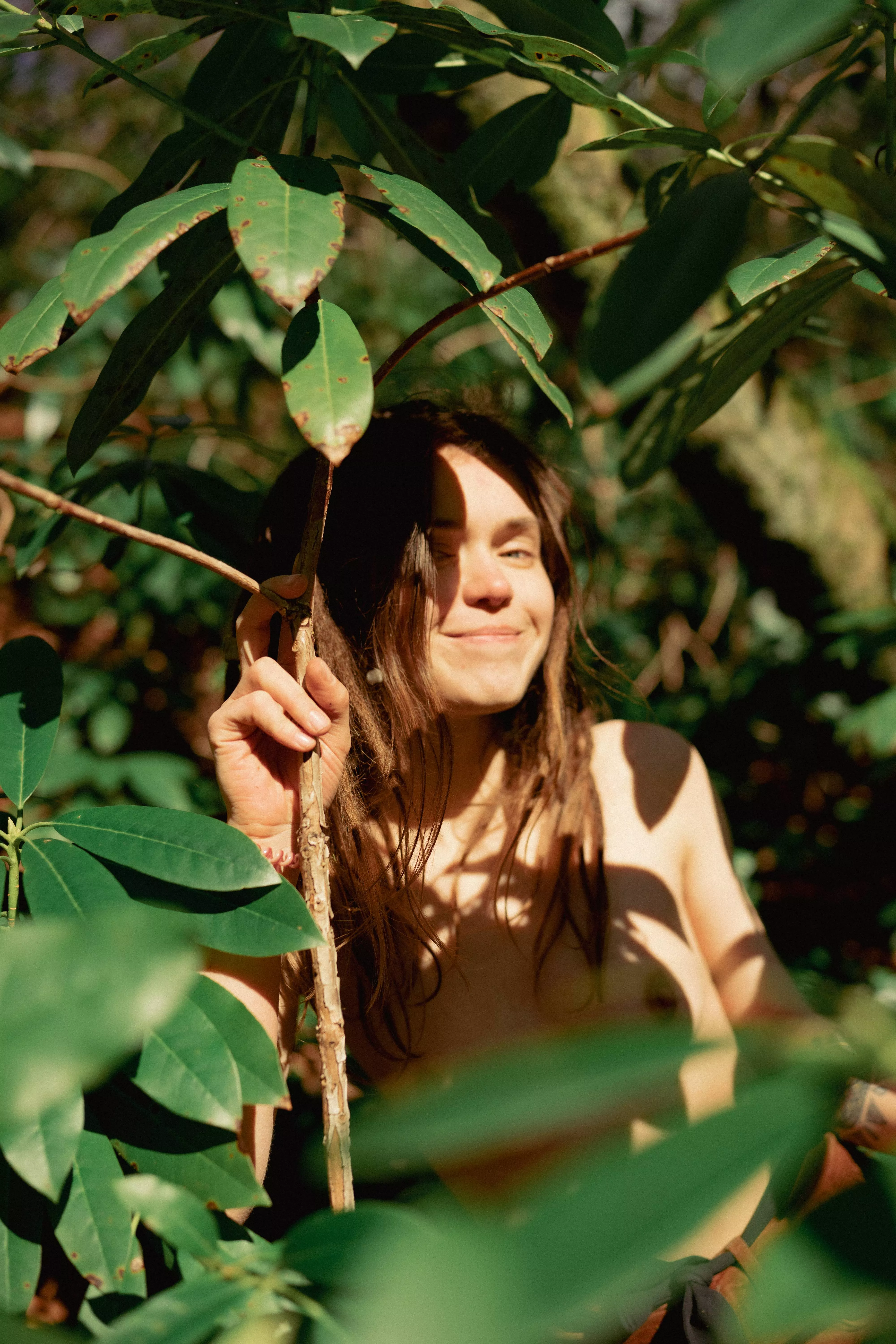 I like to walk in the boxwood grove