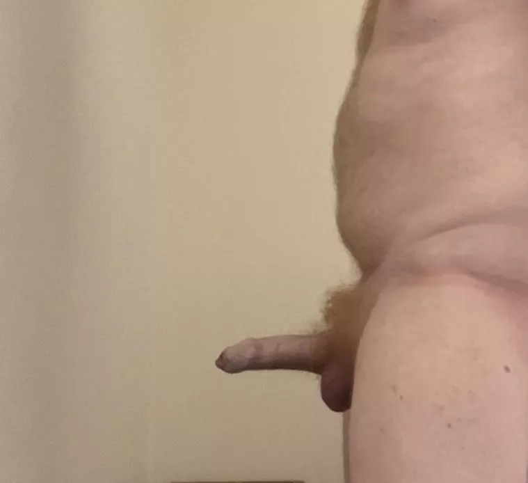 I love my ginger pubes