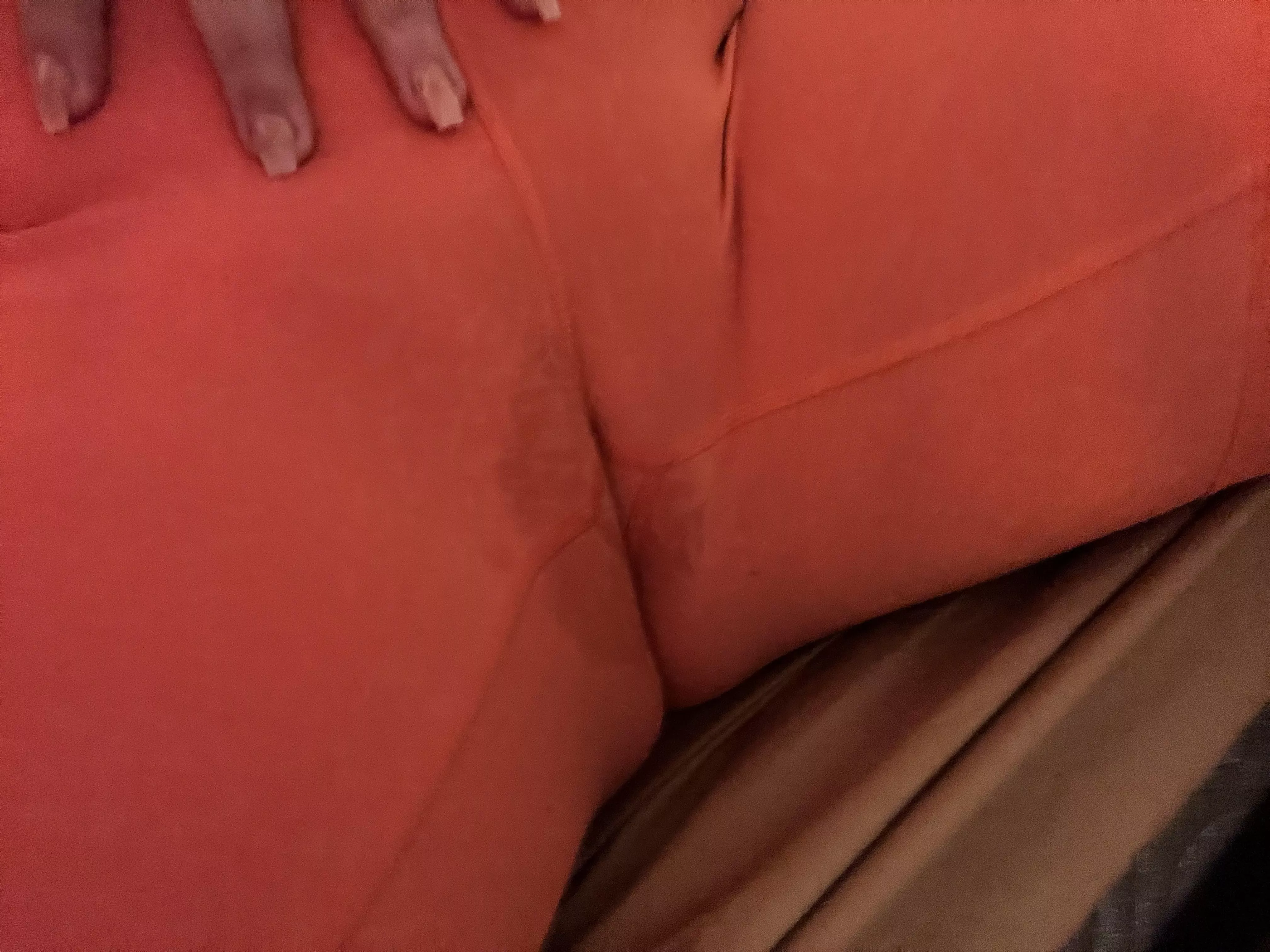 I soaked my leggings thinking about you