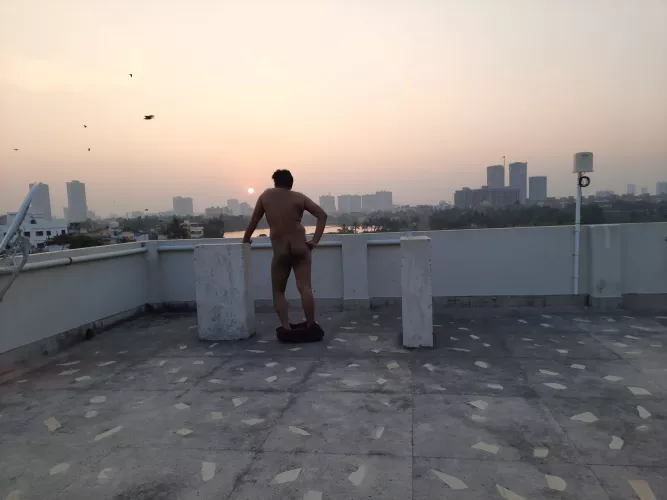 In the Concrete Jungle