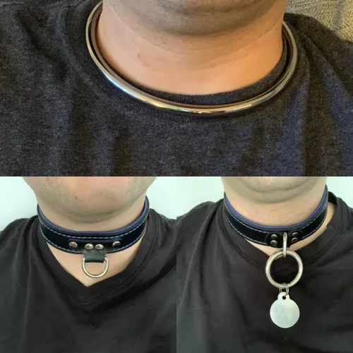 Just showing my 3 main collars I wear
