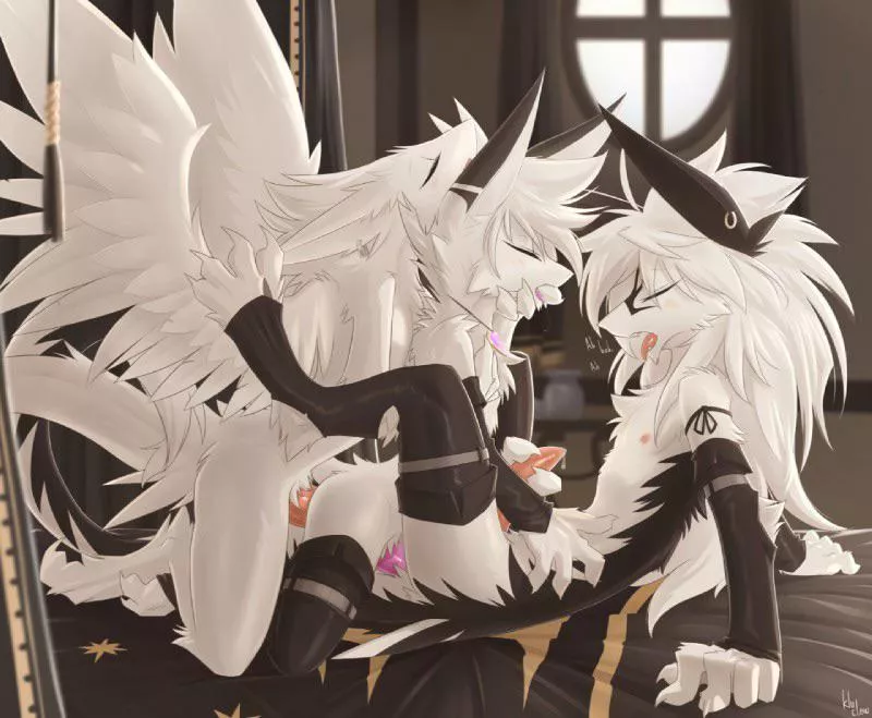 Left, middle or right? (Kluclew)