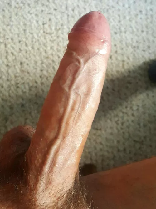 Let's fill your mouth with my hard cock :)