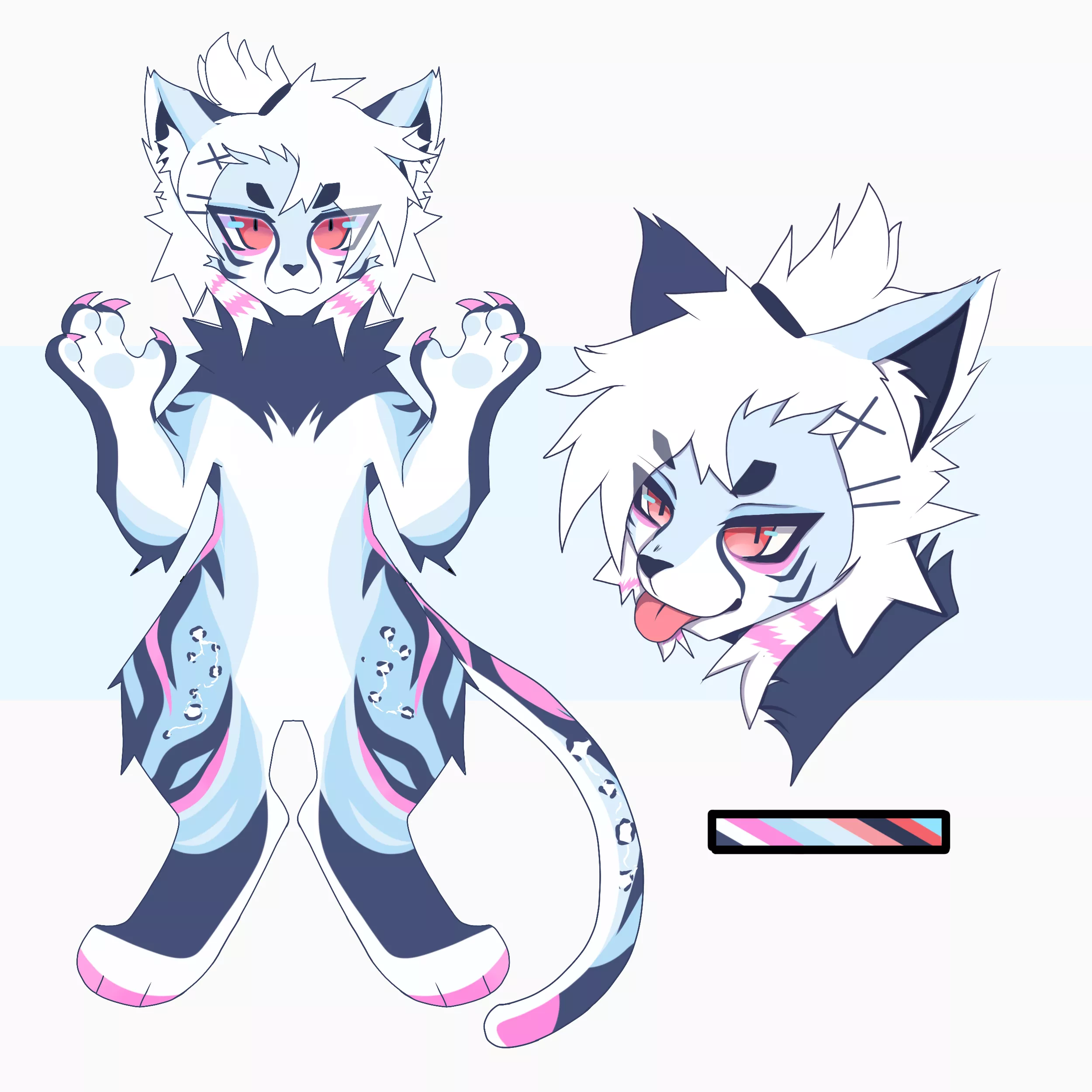 Man Bun Cat - Offer to Adopt