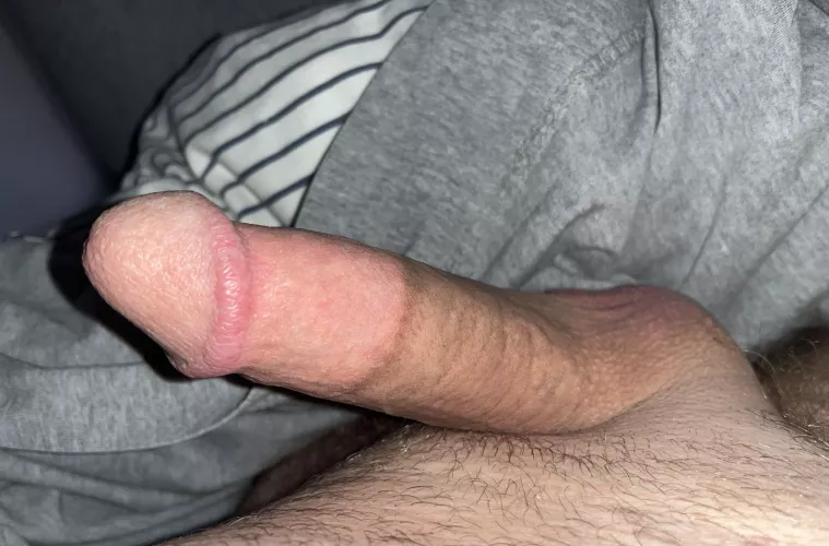 Morning would?? (47)