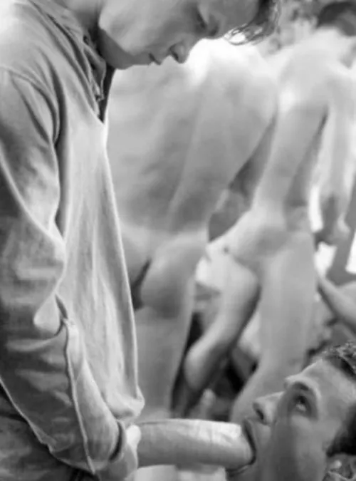 “Suck this!” …