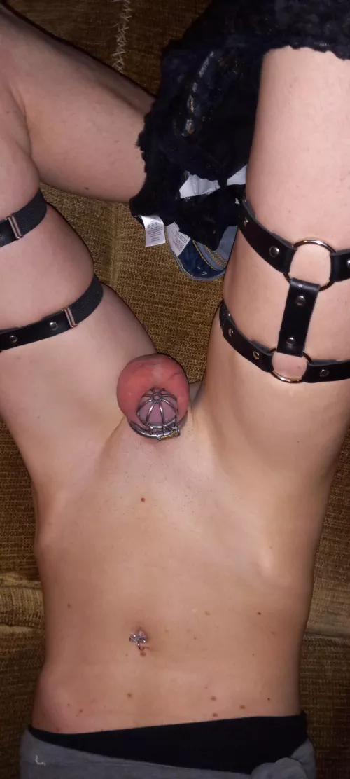 Theyre getting full !