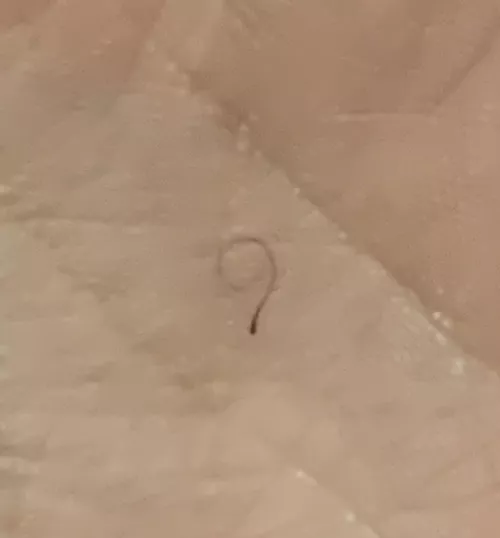 This nice lil ‘9’ I plucked🙂