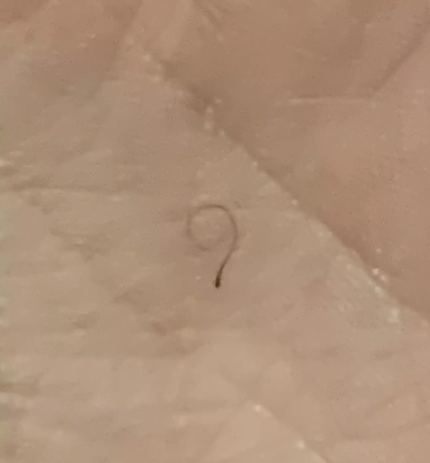 This nice lil ‘9’ I plucked🙂