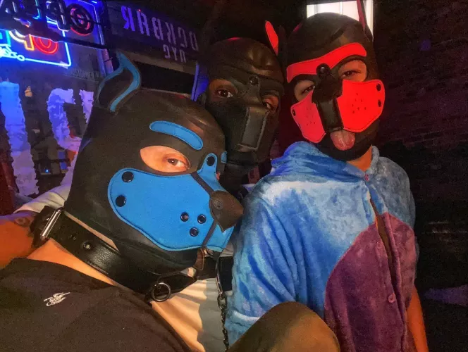 Three Pups walk into a bar…