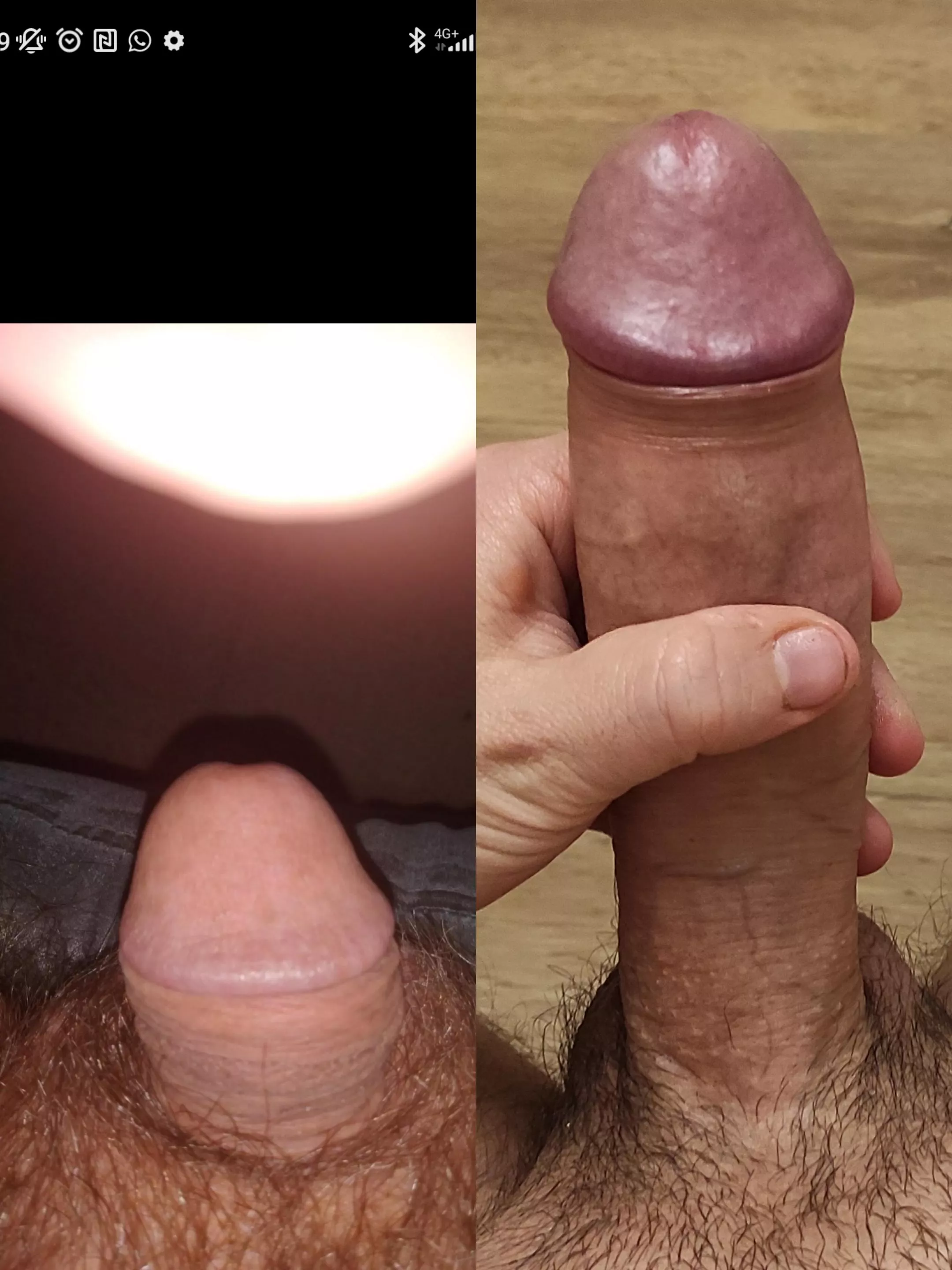 Tiny me vs. Known_Letter1712