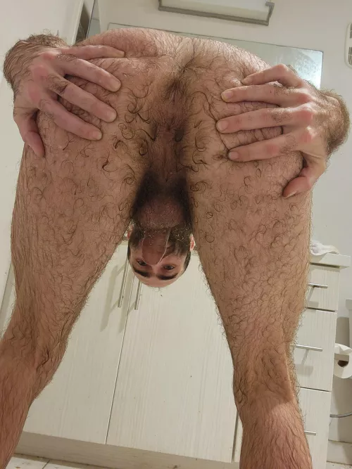 u like my ass spread open to you?