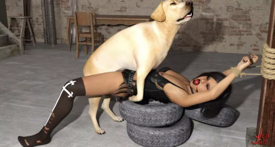 Waking up at a neighbours basement as his dog was in the mood to have some fun.. [JedoJubs]