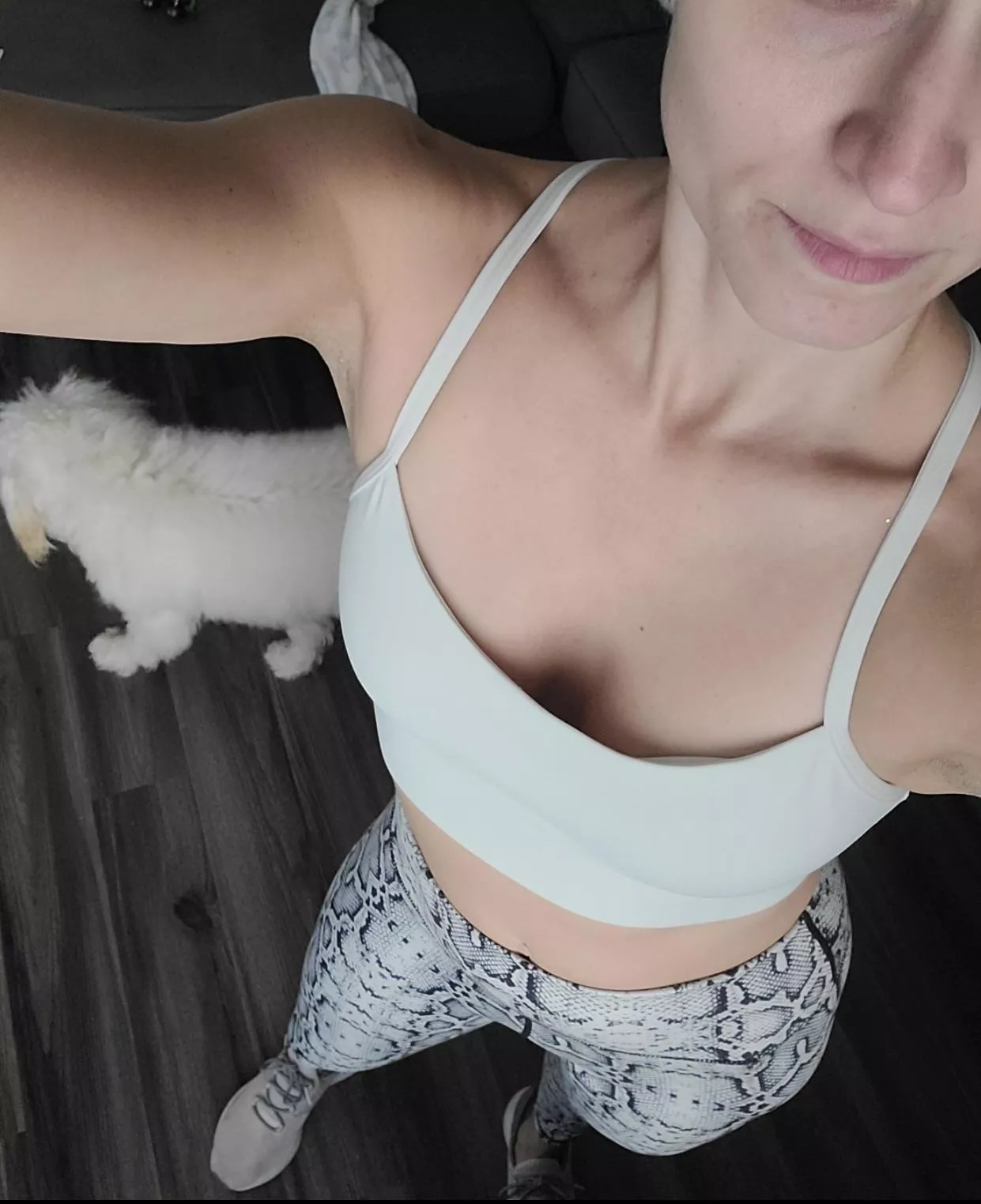 Who wants to help me workout?