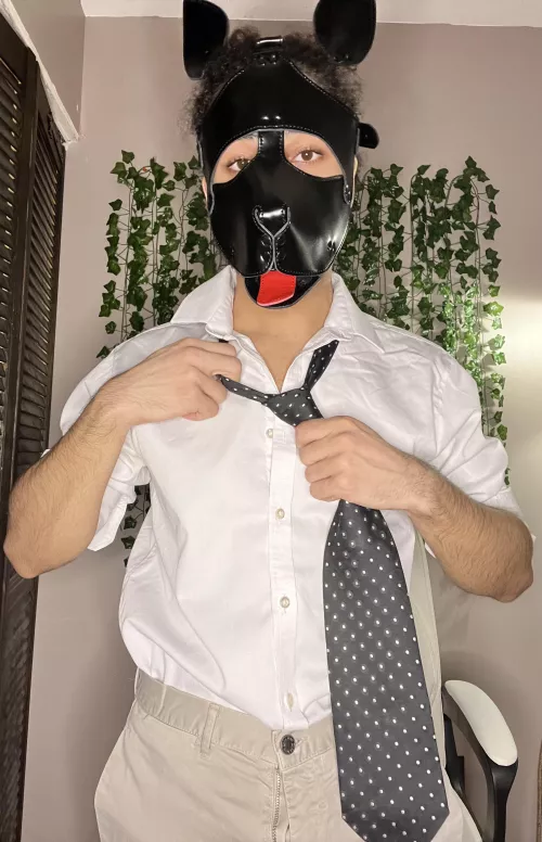 Woof Happy Friday 🦮🌞